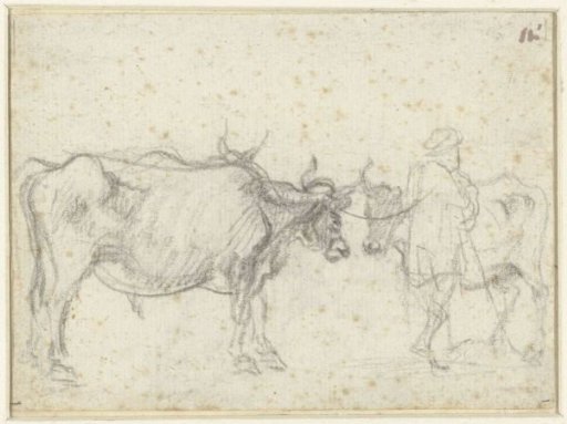Two cows and a shepherd