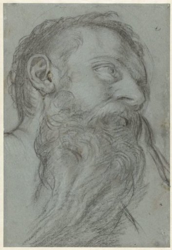 Study of a Head of a Prophet