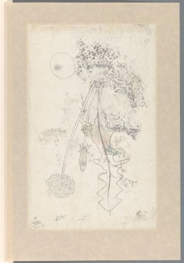 Study of a dandelion