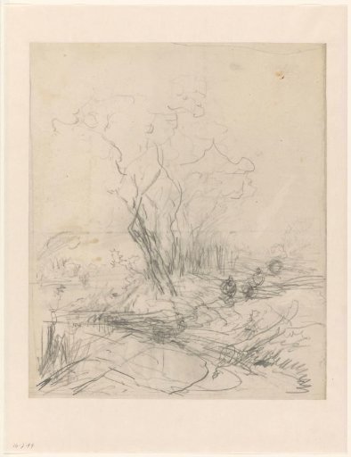 Sketch of Trees by a Road