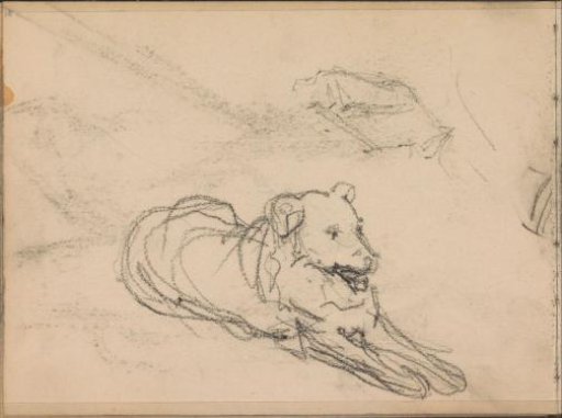 Liggende hond