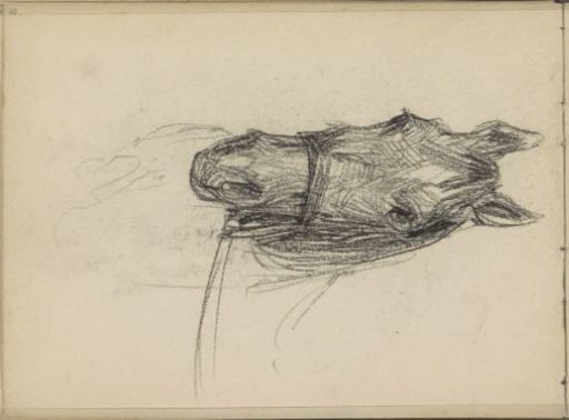 Horse's Head