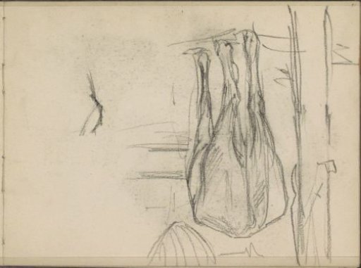 Rear View of a Horse