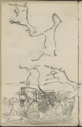 Study sheet, including goats