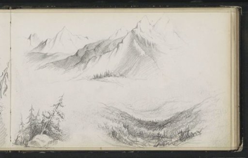 Landscapes with mountains and pine trees