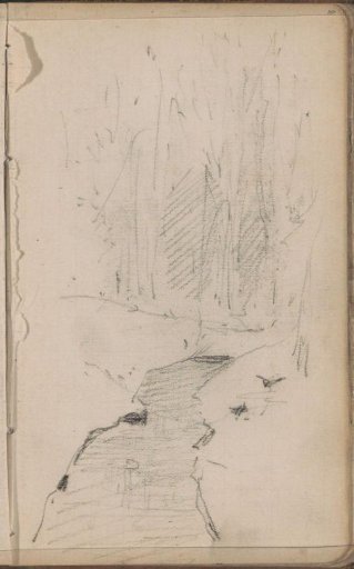 Stream in a forest