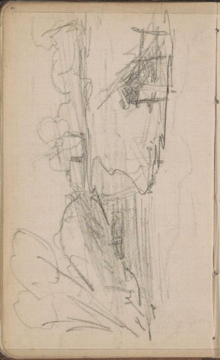 Landscape with trees and water