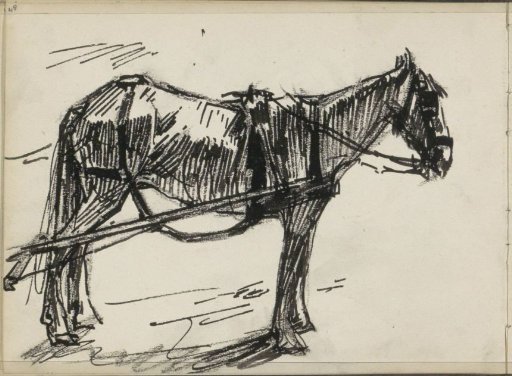 Draft horse