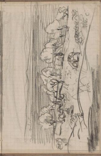 Hilly landscape with water and trees