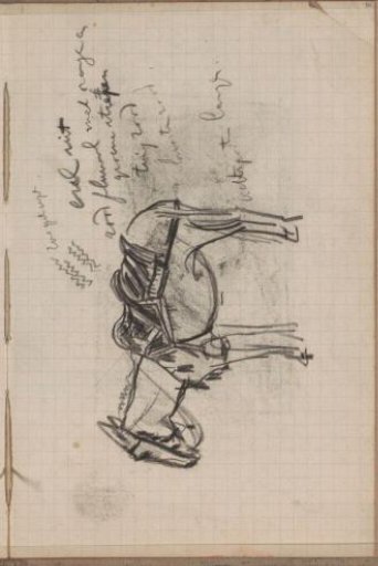 Saddled horse