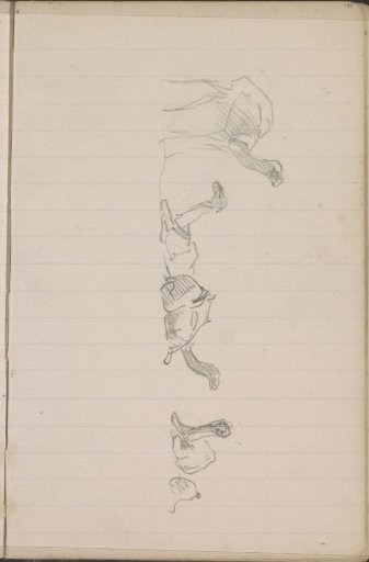 Standing and lying camels