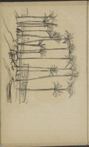 Figures near a row of palm trees