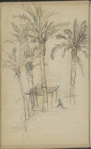 Seated man near a hut among the palm trees