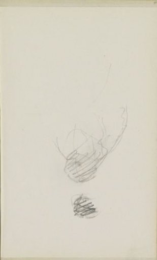 Study