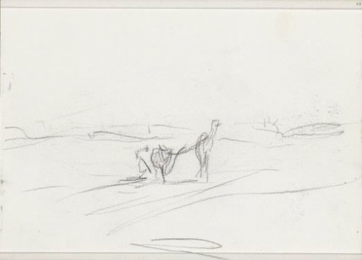 Camel in a Desert Landscape