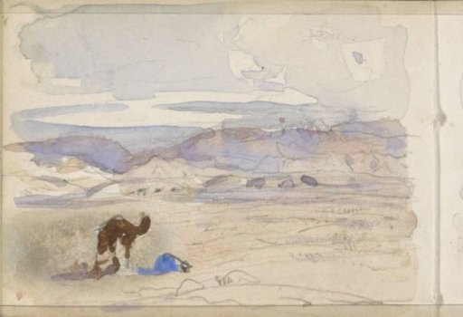 Camel in a desert landscape