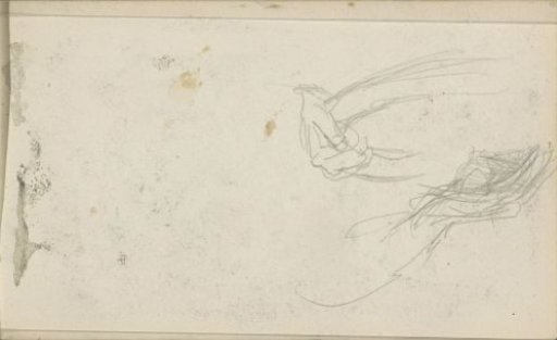 Hand with a Tambourine