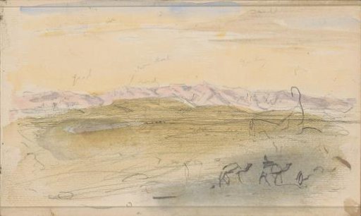 Camels in a desert landscape