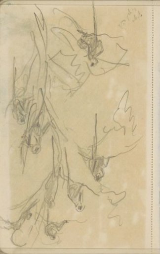 Monkeys in a tree