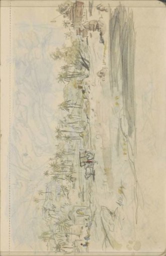 Hilly landscape with palm trees