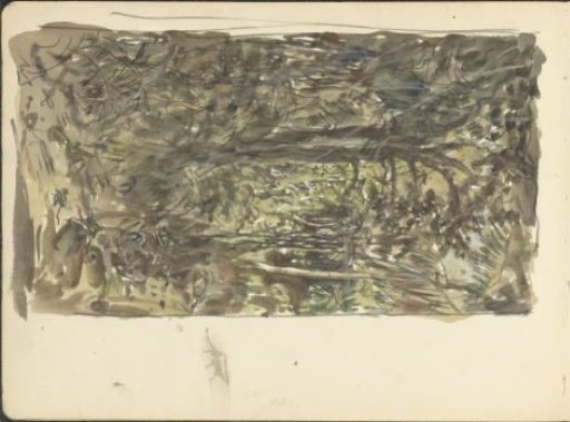 Jungle of Ceylon