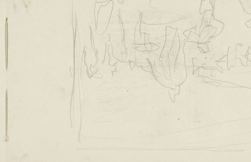 Study