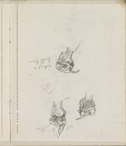 Head of an Indonesian Boy, Seen from Various Angles