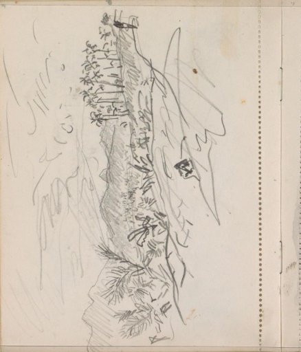 Hilly landscape with sawas and palm trees