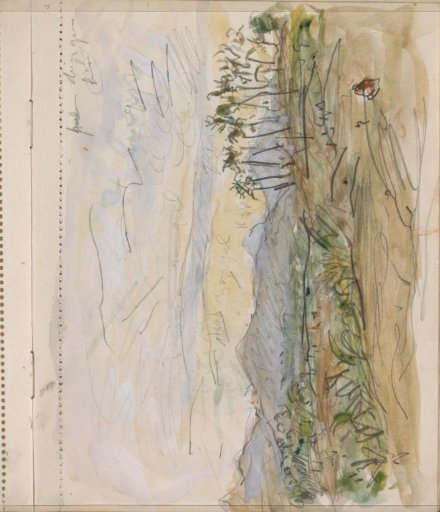 Hilly landscape with sawas and palm trees