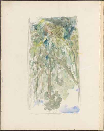 Oerwoud van Siam