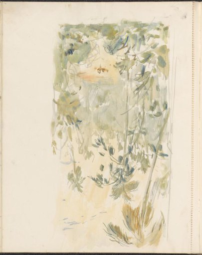 Oerwoud van Siam