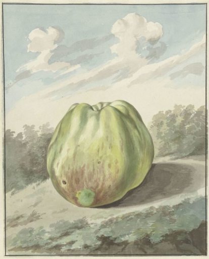 Apple in a Landscape