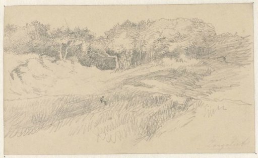 Panorama of a landscape
