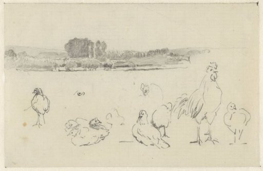 River landscape and birds