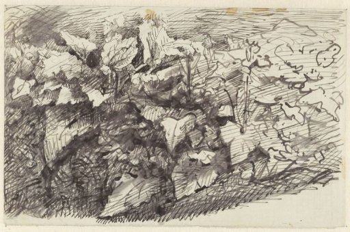 Plant study