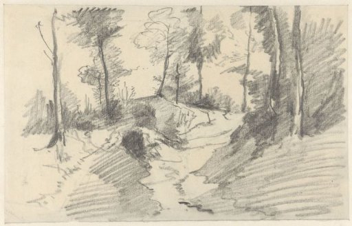 Wooded landscape