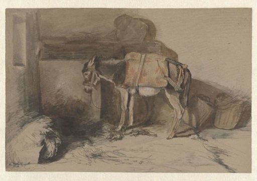 Little donkey in stable