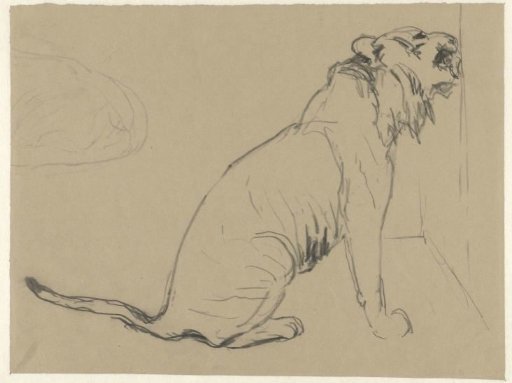 Seated lion