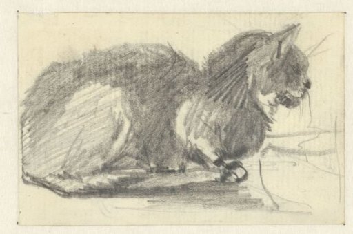 Recumbent cat, facing right