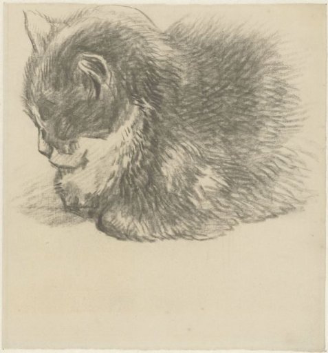 Recumbent cat, facing left