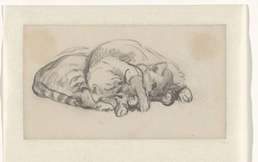 Two cats wrestling