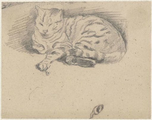 Recumbent cat, with one paw extended forward