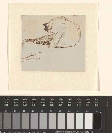 Study sheet with a cat scratching itself