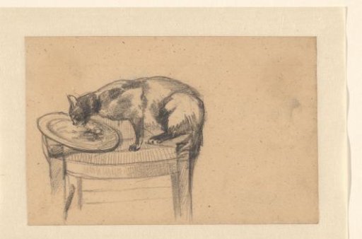 Cat licking a plate on a chair