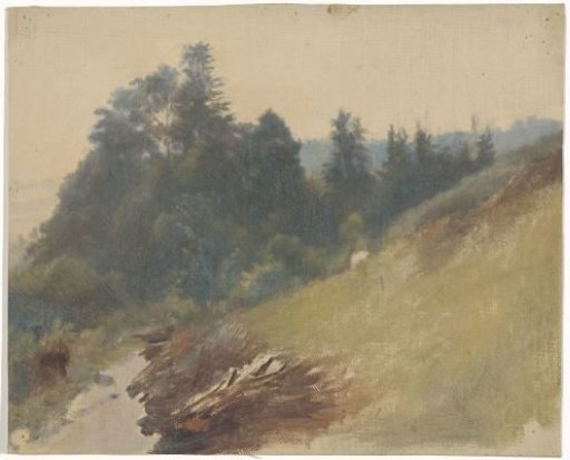Mountainside with pines