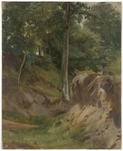Dry brook in the forest