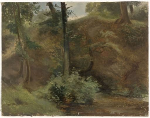 Trees in a dune landscape