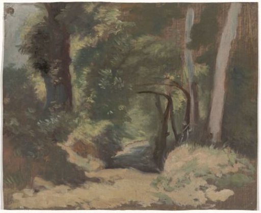 Forest path