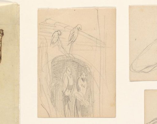 Birds in a aviary