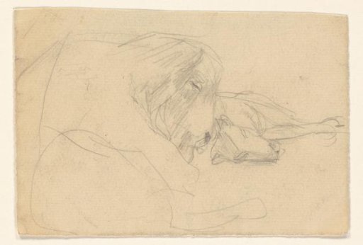 Sketch sheet with two sleeping animals